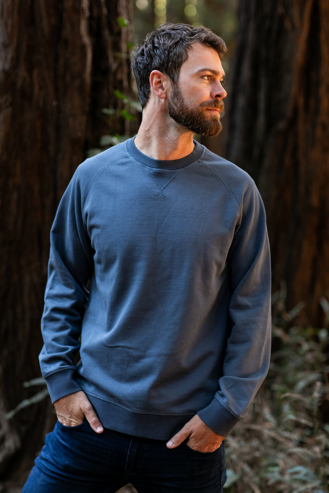 Bearded man wears Pladra Men's Klamath Crew in Stone Blue, standing outdoors in a forest, looking to the side.
