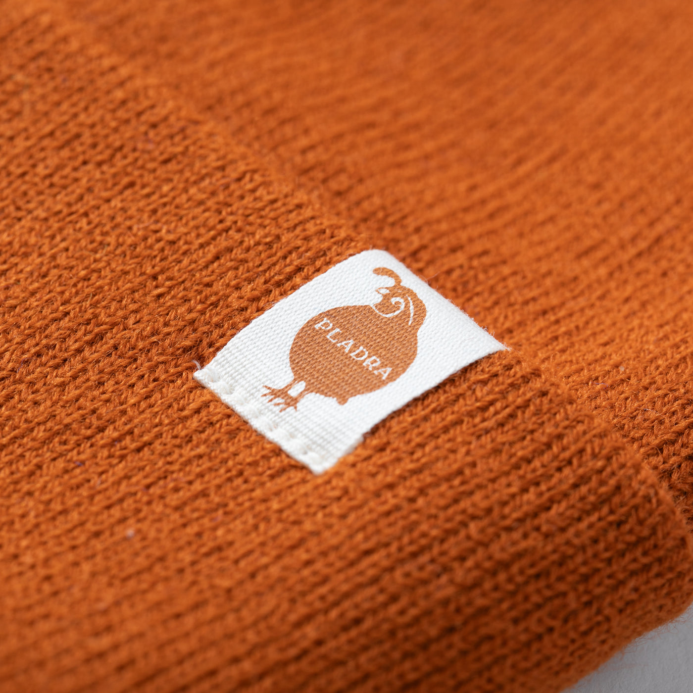 Stretch Cuff Beanie- Burnt Orange