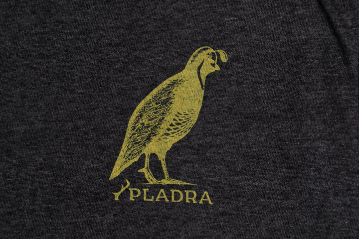 Yellow quail art above Pladra logo on Men&