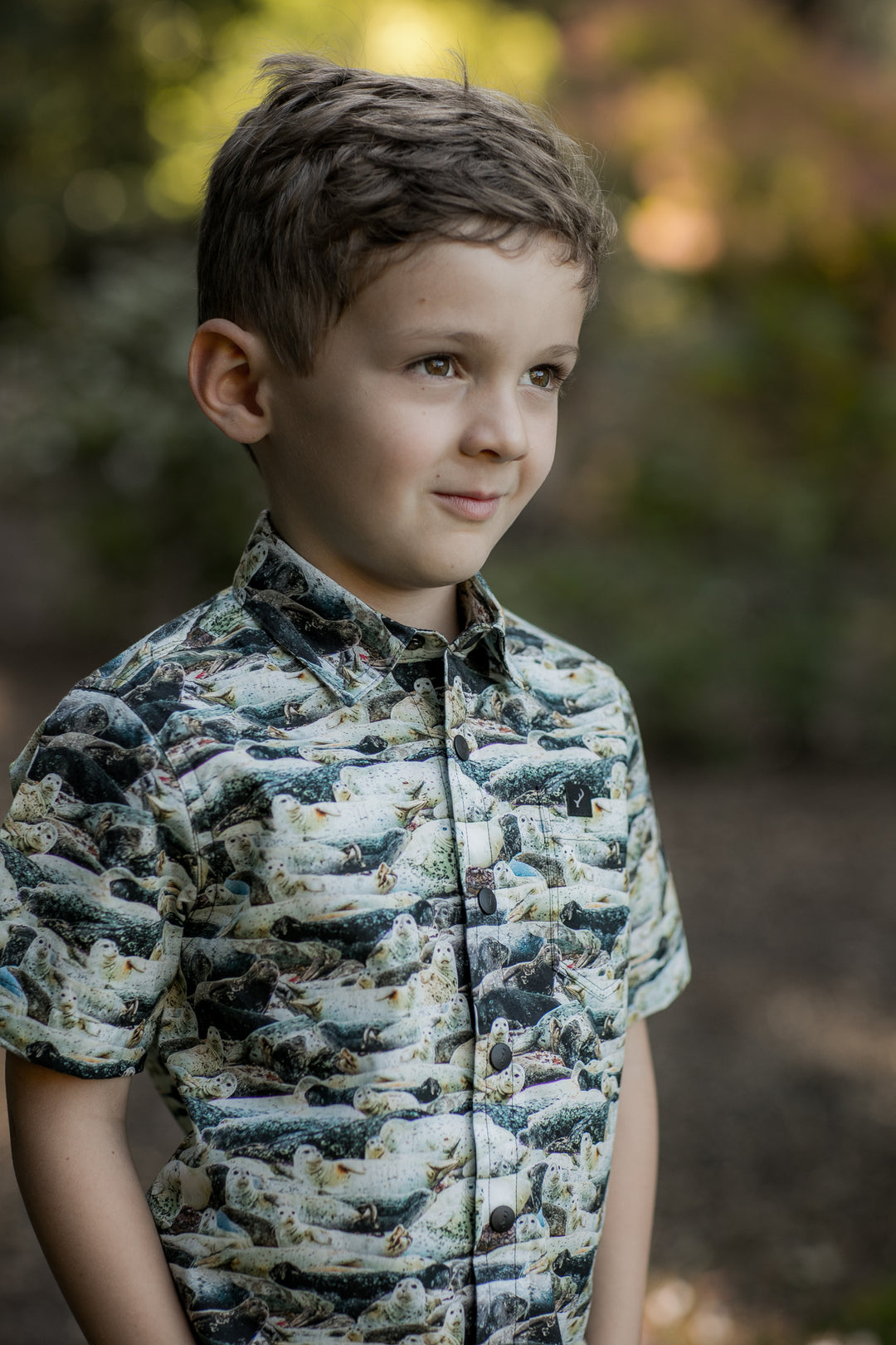 A young boy with short brown hair stands outside in a Toddler Cubs Outdoor Aloha Shirt-Seals, a 100% cotton button-up with a playful seal print. Blurred greenery and sunlight form the background as he looks to the side with a gentle smile.