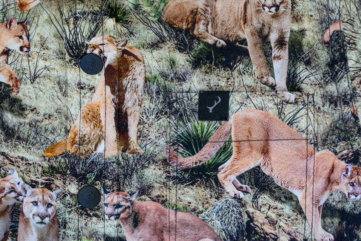 Pladra’s Toddler Cubs Outdoor Aloha Shirt features mountain lions, ideal for adventurous toddlers.