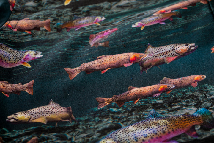 Colorful trout swim by rocks—great inspiration for Pladra’s Toddler Cubs Printed Shirt- Trout.