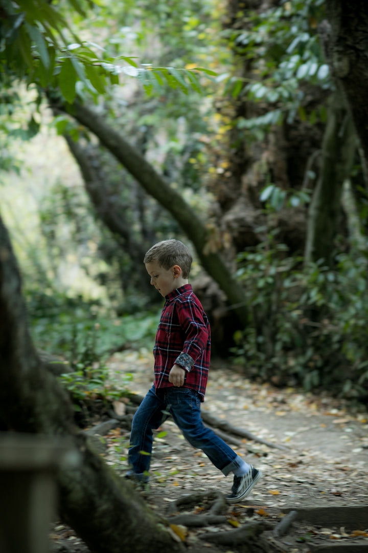 A young boy in the Toddler Cubs Flannel Shirt- Rocky Red and jeans strolls along a forest path, with sunlight filtering through the trees and lush greenery all around.